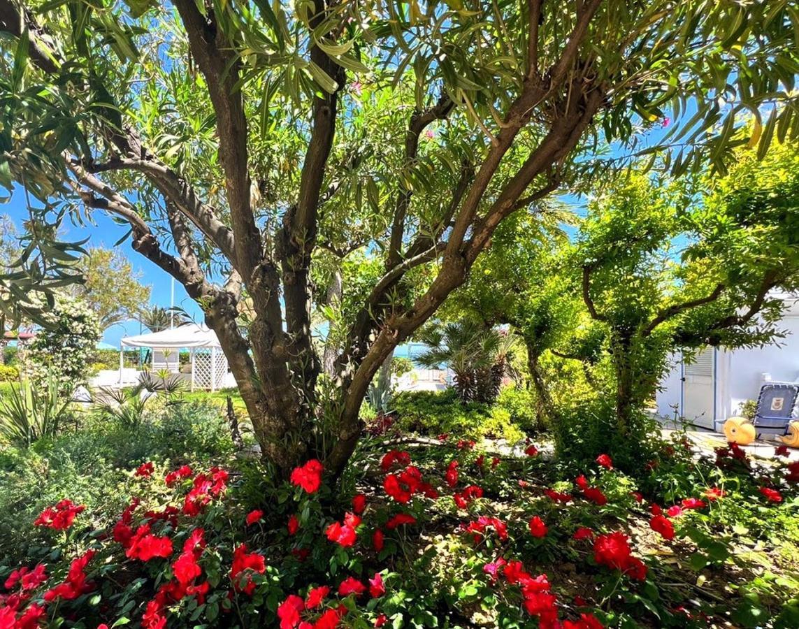 Hotel Parco Delle Rose シルヴィ・マリーナ エクステリア 写真